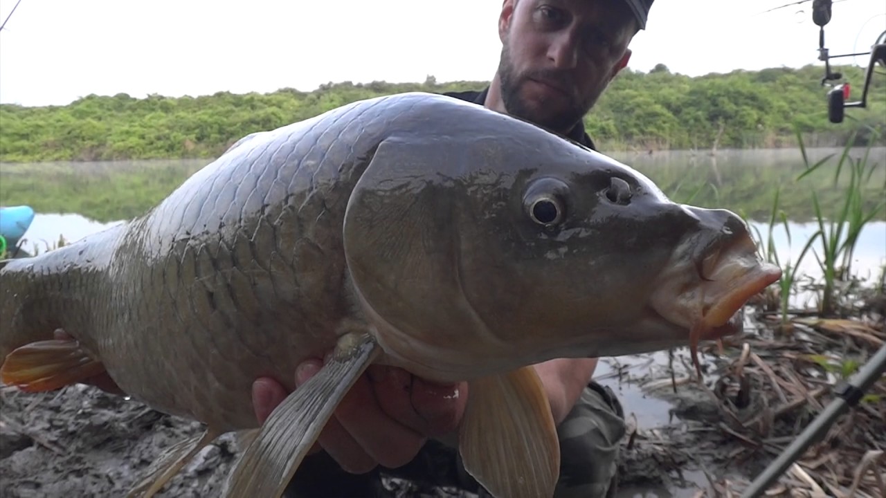 Extreme wild carp fishing by Jovan Ivosevic M BAITS INTERNATIONAL