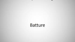 How to say Batture in English?