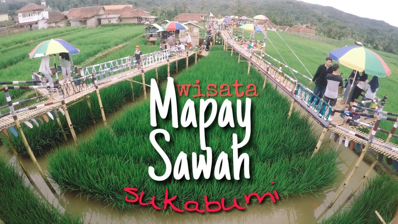Wisata MAPAY SAWAH Cireunghas Sukabumi 