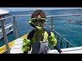 Посещаем Большой Барьерный риф. ADAM Snorkeling on the GREAT BARRIER REEF