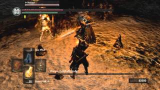 Ornstein, Smough & Solaire Vs. Gwyn, Lord of Cinder [Dark Souls / PS3]