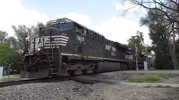 Three Elephant Style NS Units Lead NS 239