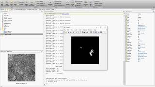 sea ice change detection in SAR images based on convolutional-wavelet neural networks
