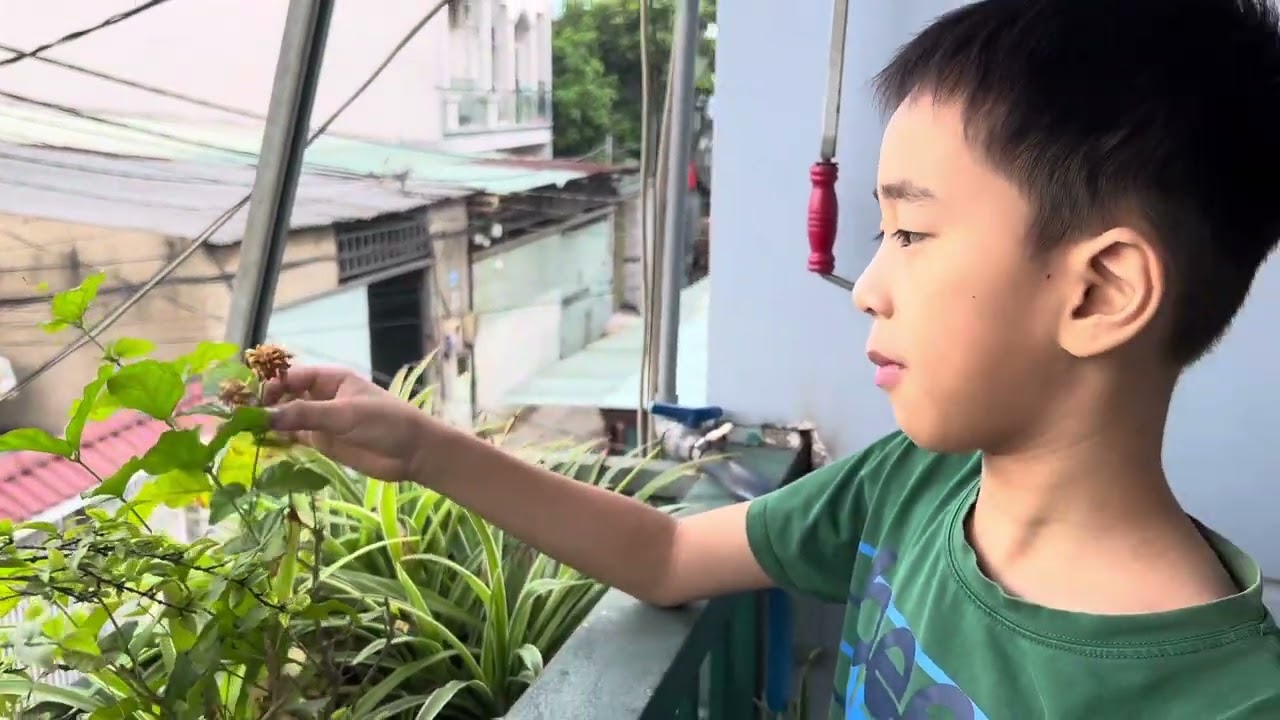 Thiên nhiên quanh nhà cùng mình nè.🥰