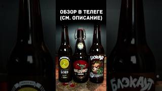 Ох уж эта осень! В поисках лучшего пива #61 / Влог из глубинки (Октябрь 2025) / #shorts