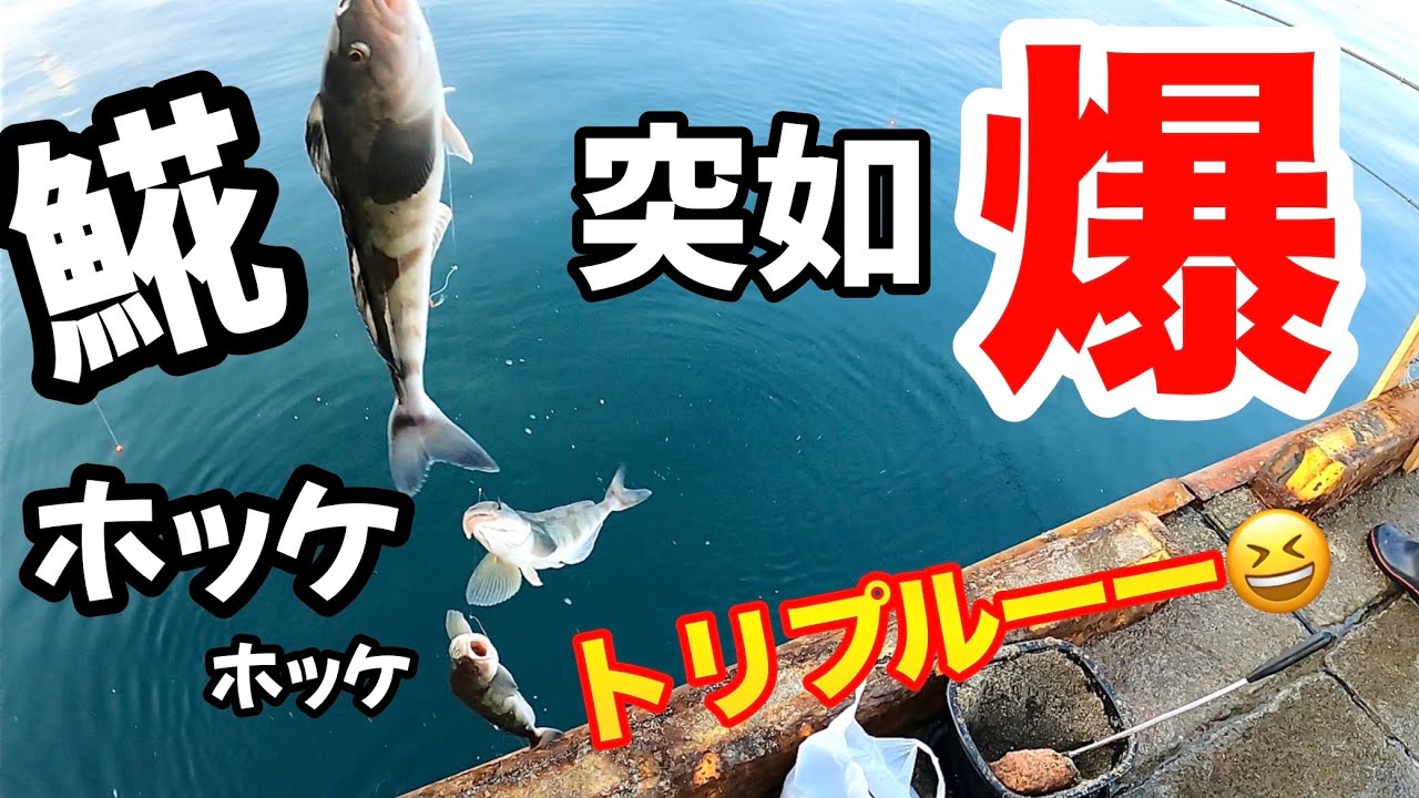 【北海道】【釣り】ついに爆釣！突如湧き出すホッケの群れ【前編】！　#ホッケ釣り#𩸽釣り#爆釣#北海道釣り