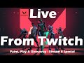 Valorant Live Stream Painting Tejo Special Model