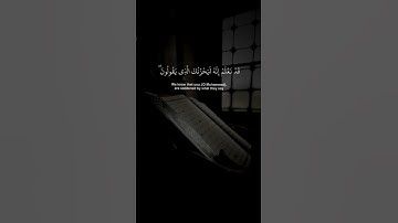 سورة الأنعام بصوت الشيخ إدريس أبكر #القرآن_الكريم #ادريس_أبكر