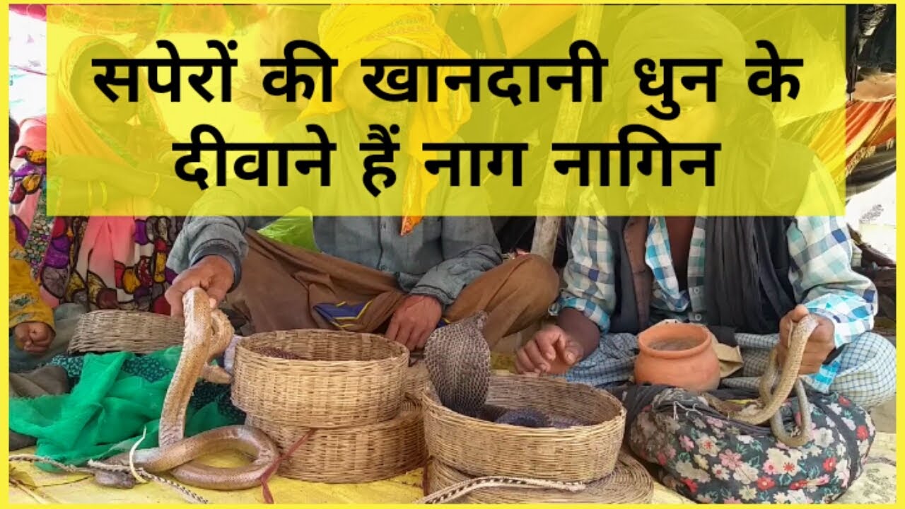 सपेरों का जीवन कैसा होता है | खानदानी धुन क्या है | How is the life of snake charmers ?