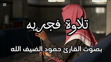 تلاوة هادئه من سورة ال عمران القارئ حمود بن عبدالعزيز الضيف الله