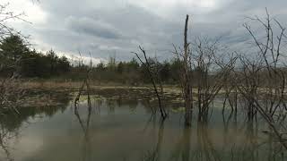20200515 timelapse