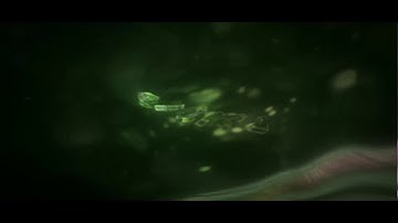 HowToSocial Intro// by AidenFX