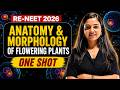 🔥RE NEET 2026 - Biology One Shot - Anatomy & Morphology of Flowering plants I Shivani mam