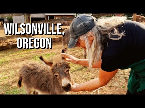 Vidéo: Wilsonville se trouve-t-il dans la région métropolitaine de Portland ?