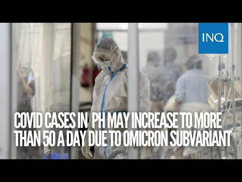 COVID cases in PH may increase to more than 500 a day due to Omicron subvariant — expert