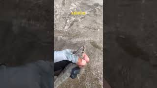 Doğal Alaları Salalım Dereler Güzelleşsin