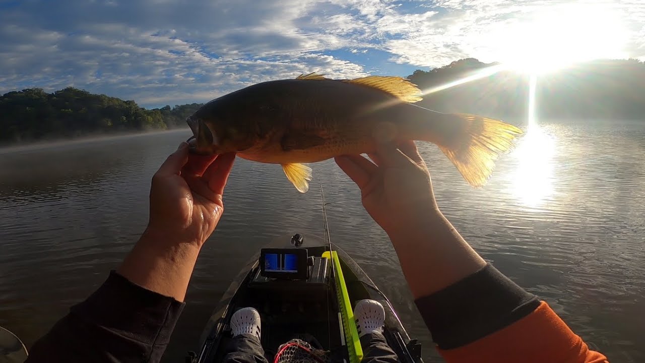 Another Win, September Kayak Tour YouTube