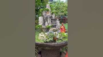 Thầy thích minh tuệ - làm tiểu cảnh hòn non bộ sân vườn đẹp