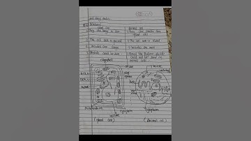 Cell Structure and Functions :- Class 8 NCERT Science Chapter 8 | NCERT Solutions | SERAPHIC CLASSES