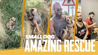 Small dog gets stuck, and rescued by the best team amazing ending. by dev naz Animal Rescue 1,763 views 6 months ago 8 minutes, 6 seconds