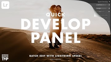 Quick Tip - Quick Develop Panel