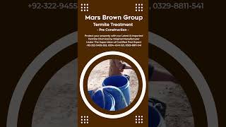 Mars Brown | Mars Brown Group | Mars Brown Group Pakistan | How to get rid of termite at home