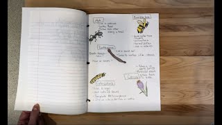 Super Science: Make Your Own Field Notebook