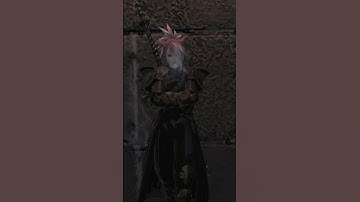 FFXIV A Terrible Retelling - Asking Fray Questions