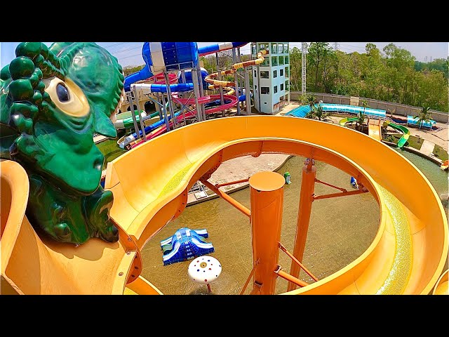 Dinosaur Slide At Amusement Park-OTD007B