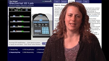HHMI Educator Tips | Bacterial ID Virtual Lab
