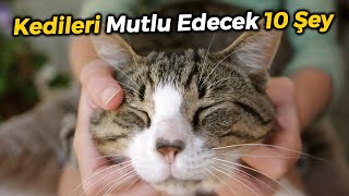 KEDİLERİ ÇOK MUTLU EDECEK 10 ŞEY!