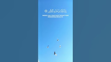 سورة لقمان || القارئ ياسر الدوسري