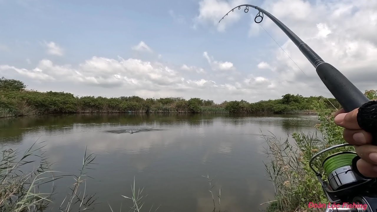 Câu Ngầm - Điểm Mới