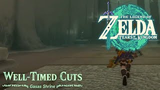 Gasas Shrine | Zelda: Tears of the Kingdom