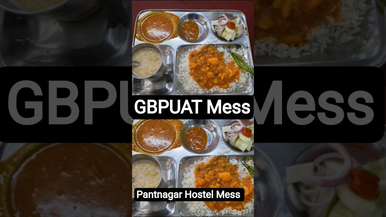 Visvesvaraya Bhawan Hostel Mess Food || GBPUAT Pantnagar University