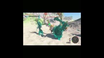 bro #totk #shorts #viral