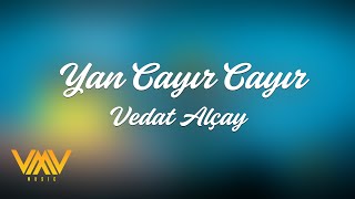 Vedat Alçay - Yan Cayır Cayır (Official Lyrics Video) Resimi