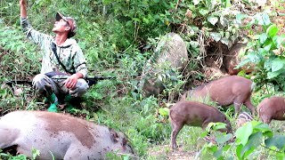 FULL😱😱BERBURU BABI HUTAN ROMBONGAN//BESAR ATAU KECIL DI BASMI HABIS 