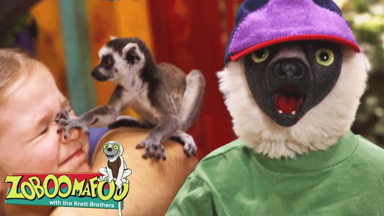Humanos | Zoboomafoo Português - WildBrain | Episódios Completos para Crianças