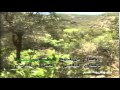 أضواء على برامج الغد 8 شوال 1409هـ الموافق 13 مايو 1989م أضواء على برامج الغد 8 شوال 1409هـ الموافق 13 مايو 1989م