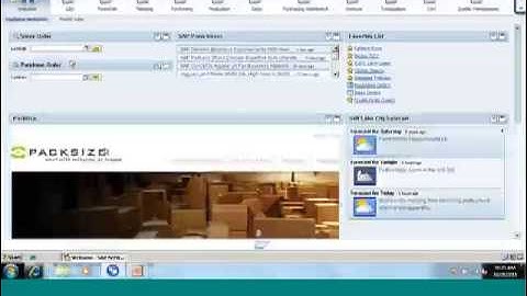 SAP Business All-in-One Customer Testimonial and Demonstration ft Packsize presented by Bramasol
