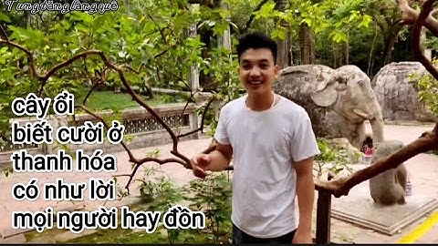 Cây Ổi Cười Khu Di Tích Lịch Sử Lam Kinh-Lam sơn-thọ xuân