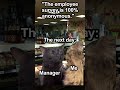 #Work #Job #AntiWork #Anonymous #Survey #Funny #Memes #FunnyMemes #WorkMemes #CatMemes #Shorts
