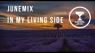 Junemix - In My Living Side