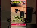 Crow💥😍 #janasuddhitv #viral #smartcrow #tallent #trending #birds #kannadanews #mulbagil #nature