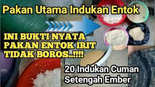 Main Feed For Mushroom Farming Breeding System 20 Parents