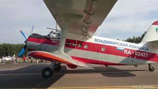 АН-2 низкий пролёт и рулёжка / Antonov An - 2 low flight and taxiing