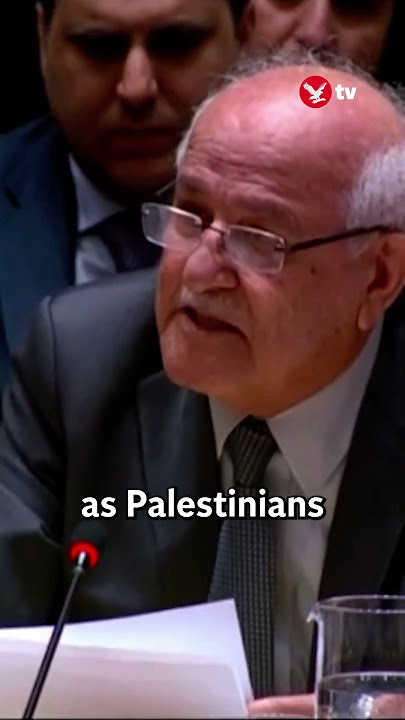 Palestinian UN envoy breaks down in tears over children dying in Gaza