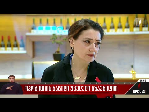 ოპოზიციის ნაწილი უცვლელი გზავნილით