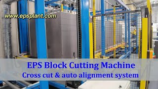 EPS Cutting Line | Cross cut & Auto alignment system